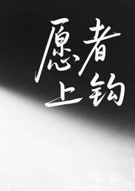 愿者上钩全文