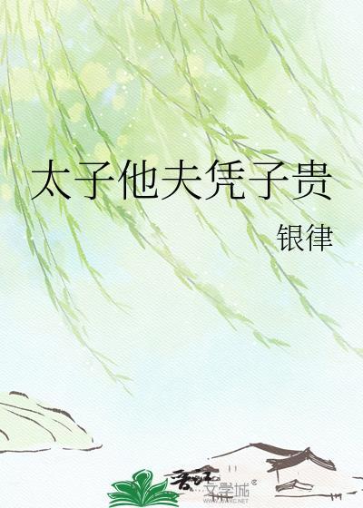太子他夫凭子贵大结局