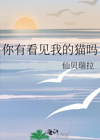 你看见我的猫了吗 它没丢只是太可爱了