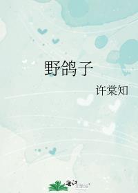 野鸽子来家里筑巢好不好