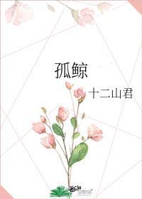 孤鲸by十二山君番外