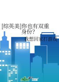 综英美我有两副面孔txt