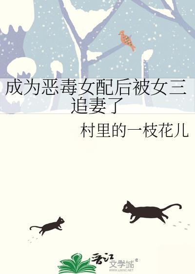 成为恶毒女配后被女三追妻了txt