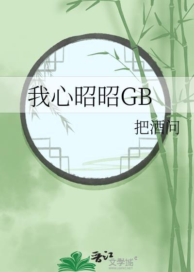 我心昭昭小视频6