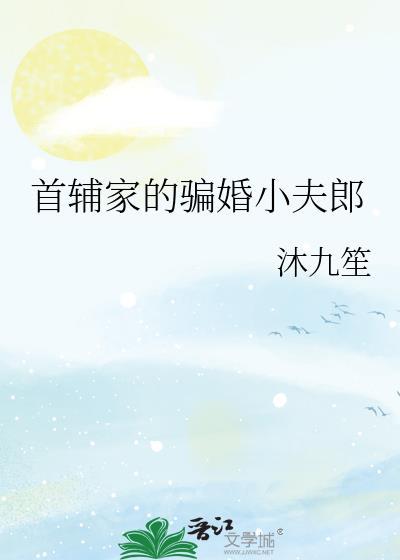 首辅家的骗婚小夫郎沐九笙全文免费阅读