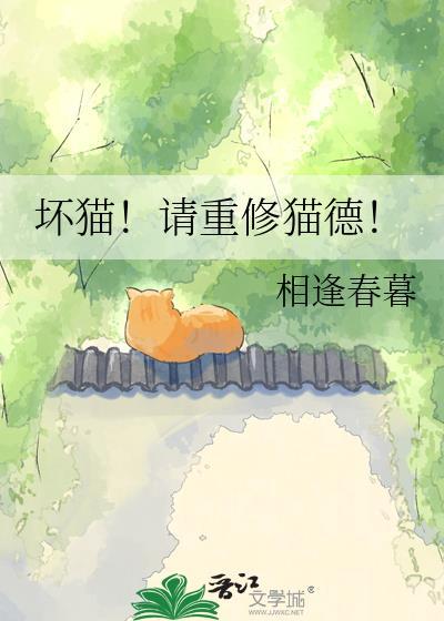 坏猫请重修猫德全文