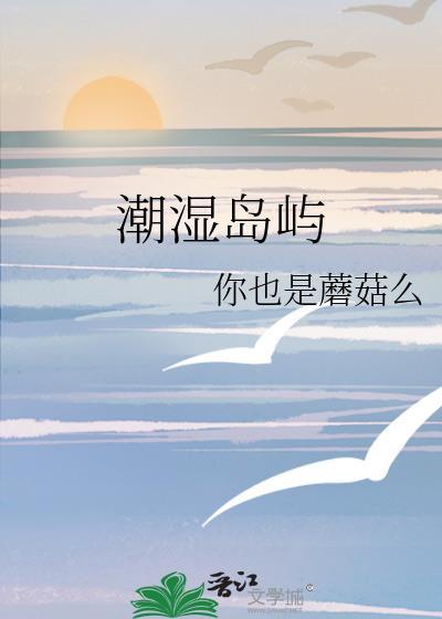 潮湿岛屿温疏宁