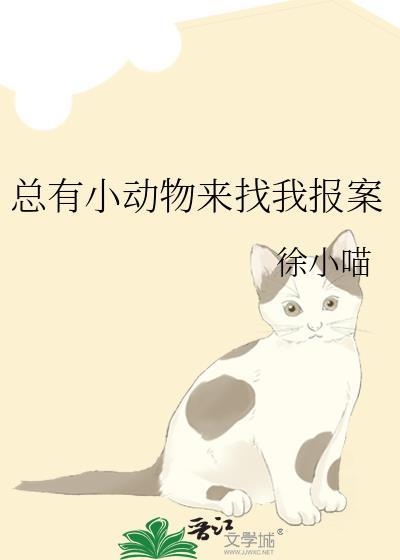 经常有小动物飞来