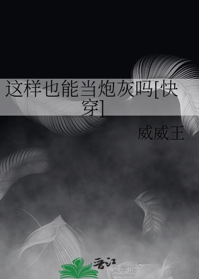 这样可以吗by吟枫 txt