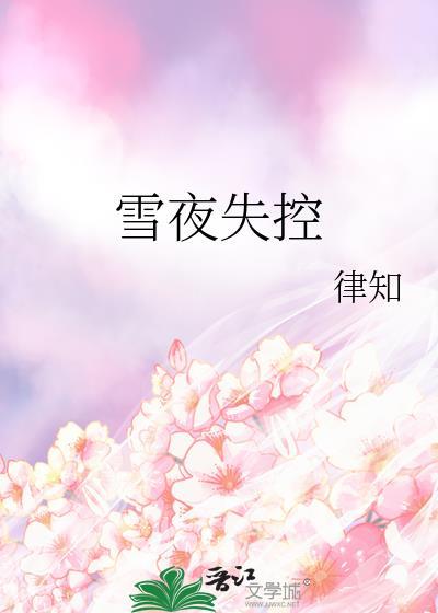 雪夜是什么电视剧