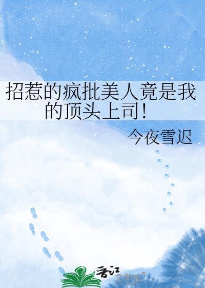 招惹的疯批美人竟是我的顶头上司gl