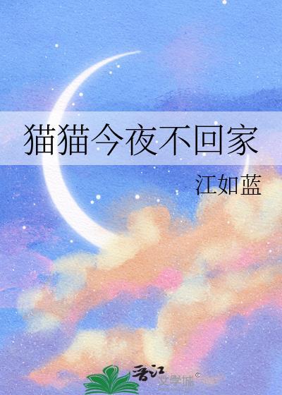 猫猫今夜不回家txt