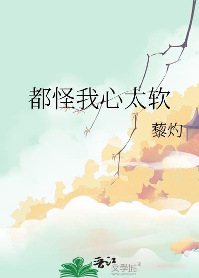 就怪我心太软歌词