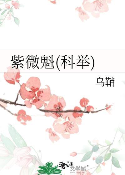 紫微魁(科举)乌鞘