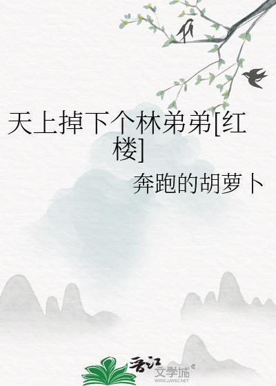 天上掉下个林妹妹含义