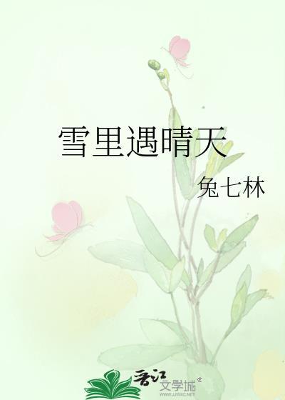 在雪天遇见的诗句