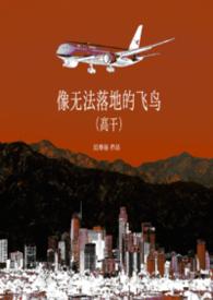 像无法落地的飞鸟by