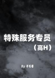 特殊服务怎么叫法是什么