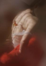 rua狐狸