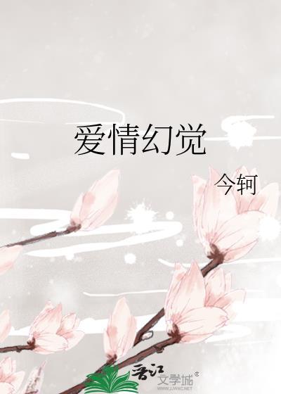 爱情幻觉电视剧在线观看