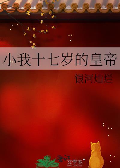 17岁皇帝