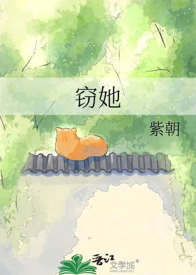 窃她大结局最后一集