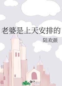老婆是上天安排的全文免费阅读