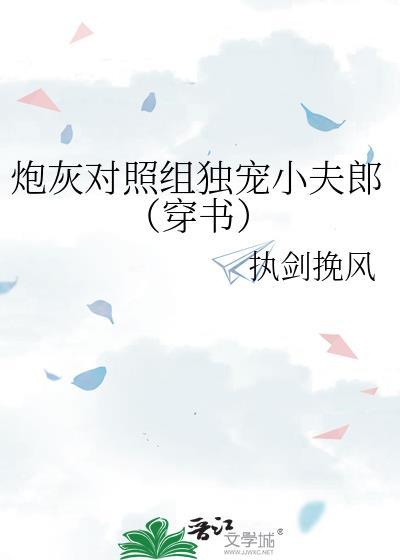 炮灰对照组独宠小夫郎(穿书)百度