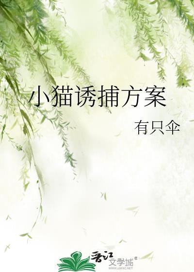 猫咪诱捕笼使用方法