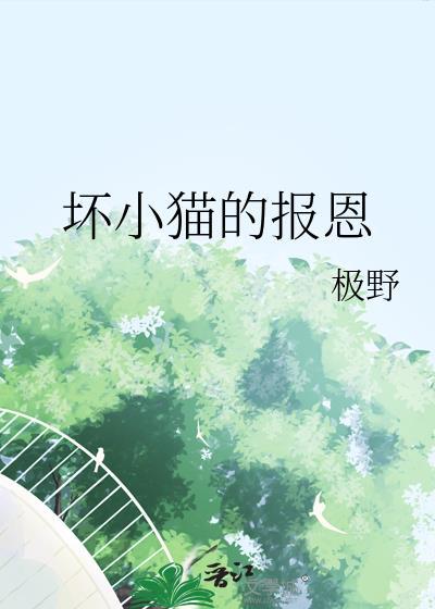 坏猫咪
