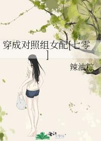 穿成对照组女配[七零