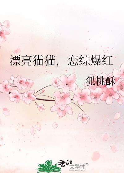 漂亮的猫图片