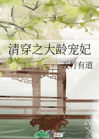 清穿之大龄宠妃晋江作者