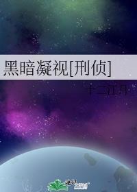 凝视黑夜电视剧