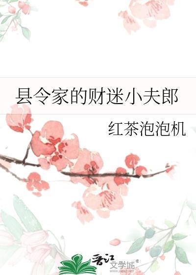 县令家的财迷小夫郎笔趣阁
