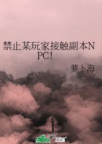 禁止某玩家接触副本NPC! 双男主 主受 已完结