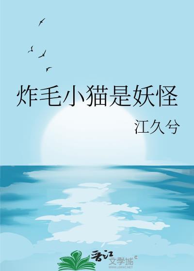 炸毛的小猫