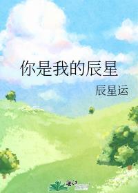 你是我的星辰是什么意思