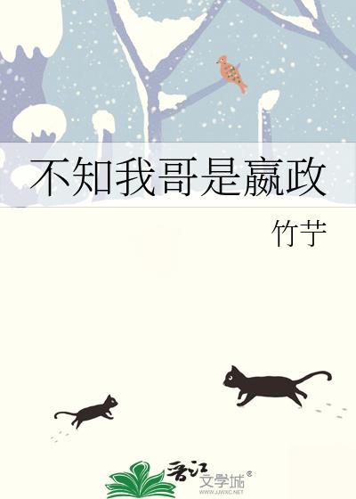 我在修仙界装瞎411