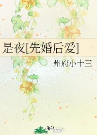 是夜先婚后爱州府小十三番外