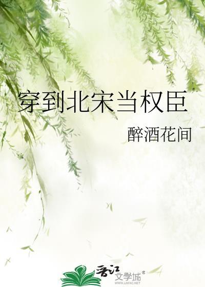 穿到北宋当权臣晋江