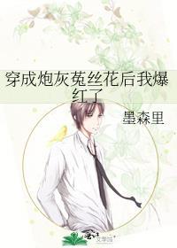 穿成炮灰by