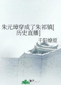 穿越成朱元璋儿子