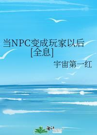 当npc好难啊