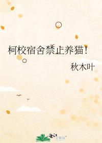 宿舍可以养柯基吗