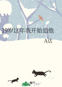 19岁这年我开始追他免费阅读