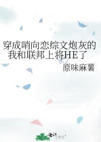 穿成哨向恋综文炮灰的我和联邦上将he了 原味麻薯