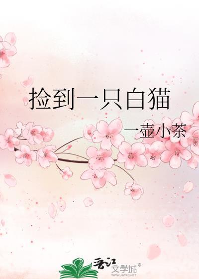 捡到白猫寓意