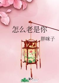 两界搬运工白杨几个老婆结局