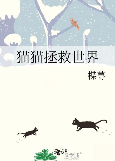 猫猫拯救世界的视频号